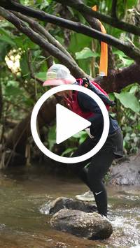 BIB:  <button type="button" onclick="openModal(27825345)" class="btn btn-primary btn-sm float-right" data-toggle="modal" data-target=".modal-high-quality">
                <i class="fa fa-download"></i> Download
                </button>